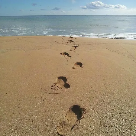 Paradise A 100mt Dal Mare Di Gallina